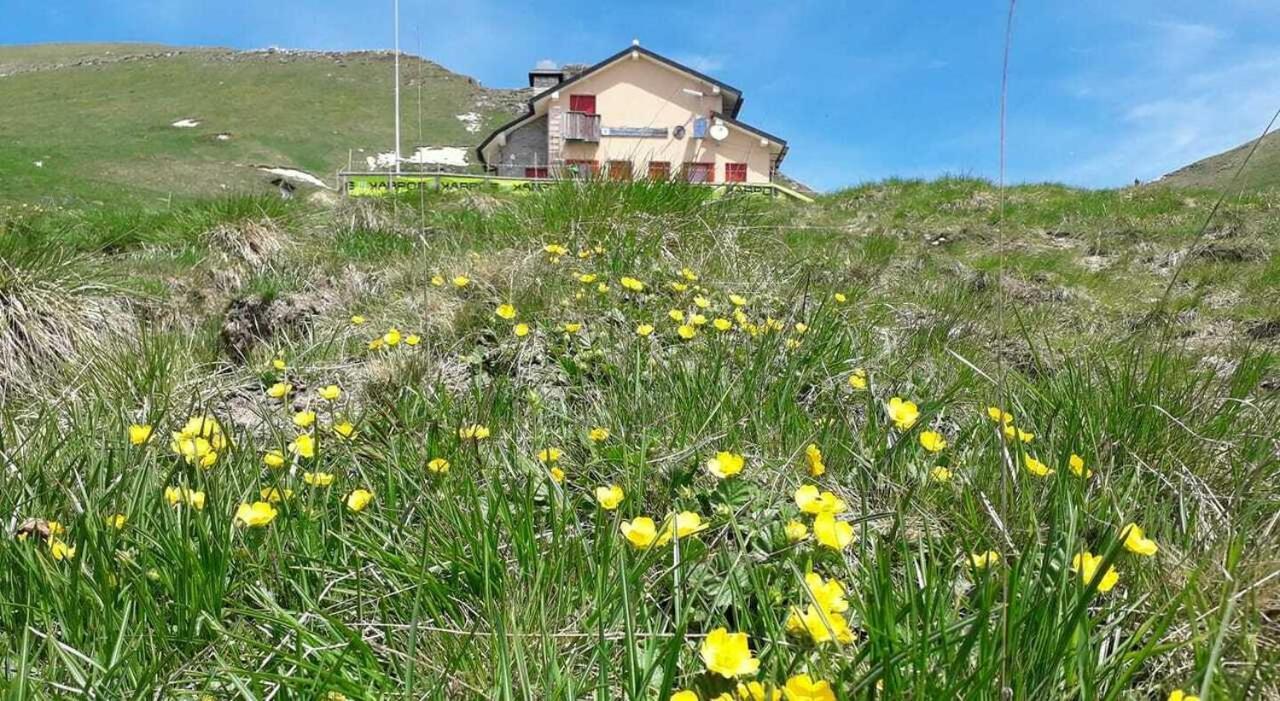 Ferienwohnung Residenza Letizia Nemeggio Exterior foto